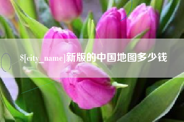 平湖新版的中国地图多少钱