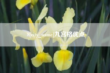 平湖九宫格优点