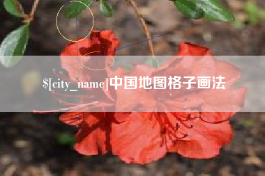 平湖中国地图格子画法