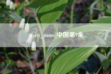 平湖中国第9金