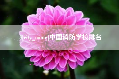 平湖中国消防学校排名