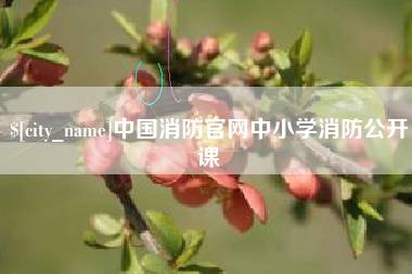 平湖中国消防官网中小学消防公开课