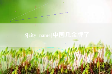 平湖中国几金牌了