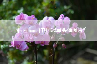 平湖中国冠军头像图片