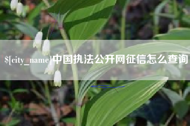平湖中国执法公开网征信怎么查询