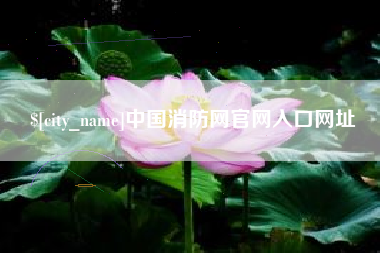 平湖中国消防网官网入口网址
