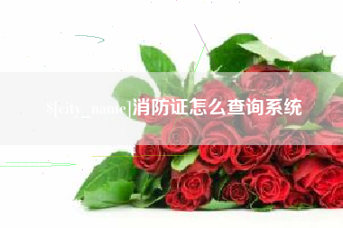 平湖消防证怎么查询系统