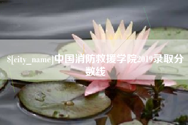 平湖中国消防救援学院2019录取分数线