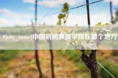 平湖中国消防救援学院在那个地方