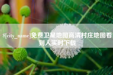 平湖免费卫星地图高清村庄地图看到人实时下载