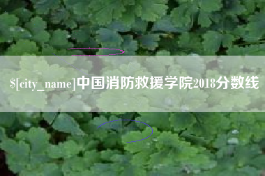 平湖中国消防救援学院2018分数线