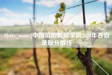 平湖中国消防救援学院2020年各省录取分数线