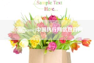 平湖中国执行网信息官网