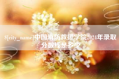 平湖中国消防救援学院2024年录取分数线是多少