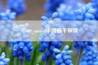 平湖中国最牛保镖