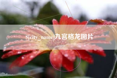平湖九宫格龙图片