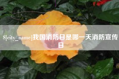 平湖我国消防日是哪一天消防宣传日