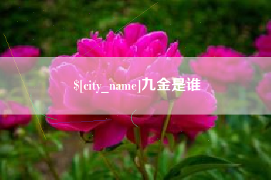 平湖九金是谁