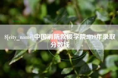 平湖中国消防救援学院2019年录取分数线