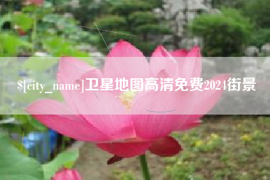 平湖卫星地图高清免费2024街景