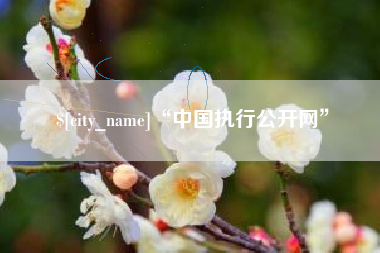 平湖“中国执行公开网”