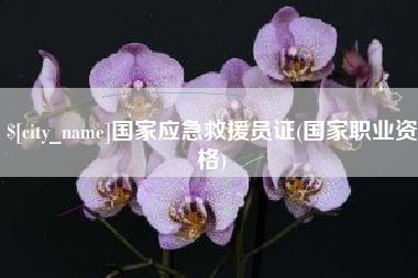 平湖国家应急救援员证(国家职业资格)