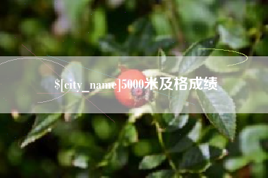 平湖5000米及格成绩