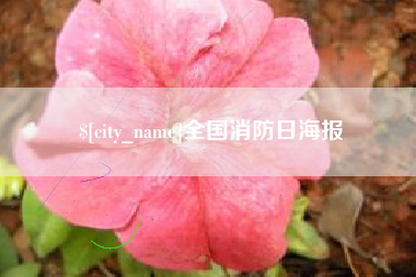 平湖全国消防日海报