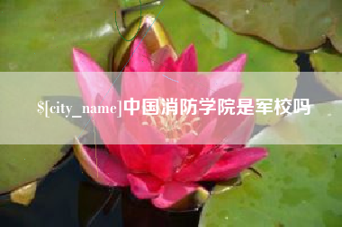 平湖中国消防学院是军校吗