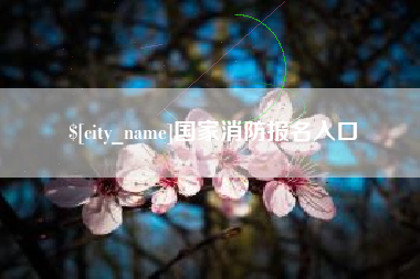 平湖国家消防报名入口