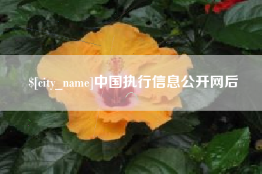 平湖中国执行信息公开网后