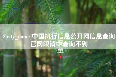 平湖中国执行信息公开网信息查询官网限消中查询不到