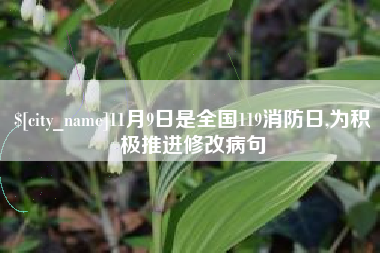 平湖11月9日是全国119消防日,为积极推进修改病句