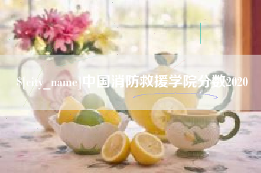 平湖中国消防救援学院分数2020