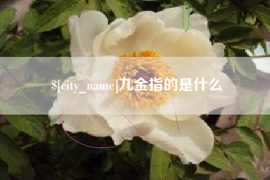 平湖九金指的是什么