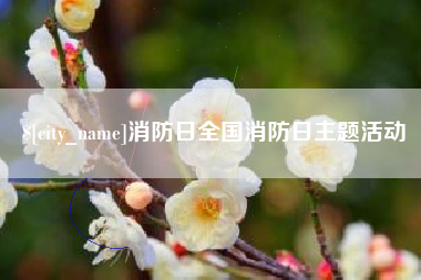 平湖消防日全国消防日主题活动