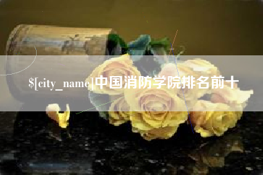 平湖中国消防学院排名前十