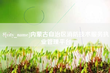 平湖内蒙古自治区消防技术服务执业管理平台