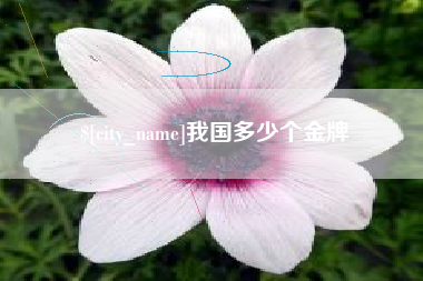 平湖我国多少个金牌