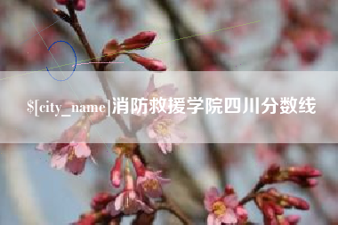 平湖消防救援学院四川分数线
