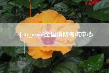 平湖全国消防考试中心