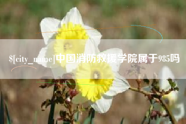 平湖中国消防救援学院属于985吗