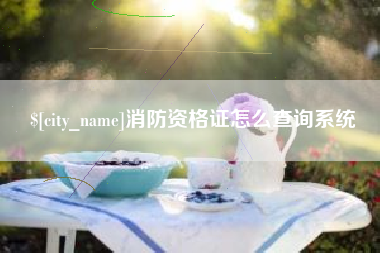 平湖消防资格证怎么查询系统