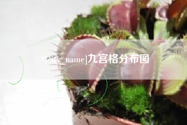 平湖九宫格分布图
