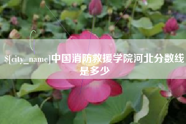 平湖中国消防救援学院河北分数线是多少