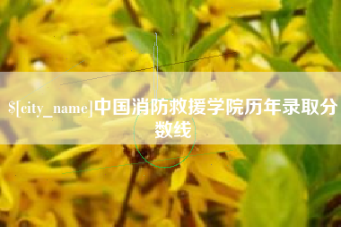 平湖中国消防救援学院历年录取分数线