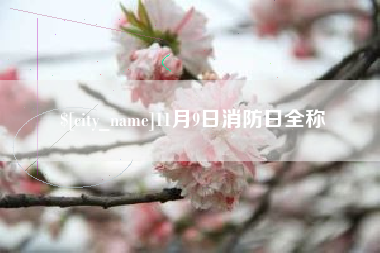 平湖11月9日消防日全称