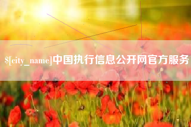 平湖中国执行信息公开网官方服务