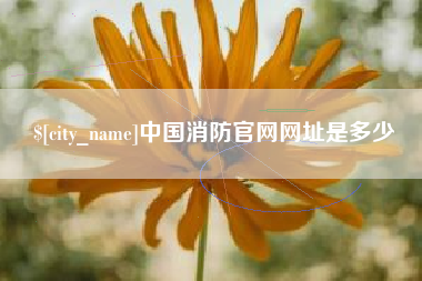 平湖中国消防官网网址是多少