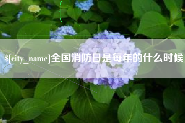 平湖全国消防日是每年的什么时候